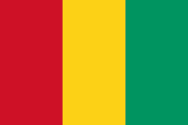 Logo GUINEE