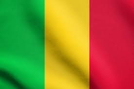 Logo MALI